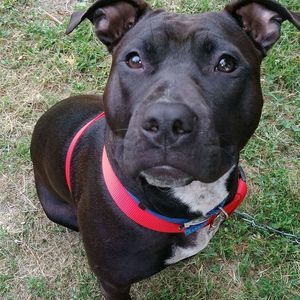 Meet your Posher, Michael j